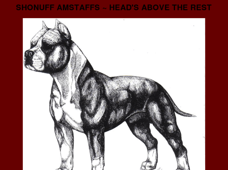 www.shonuff.info