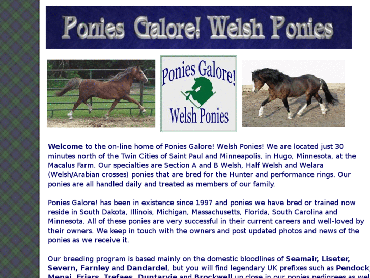 www.welshponiesgalore.com