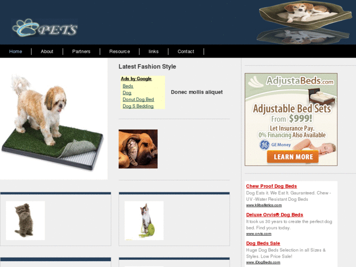 www.yourdogbeds.com