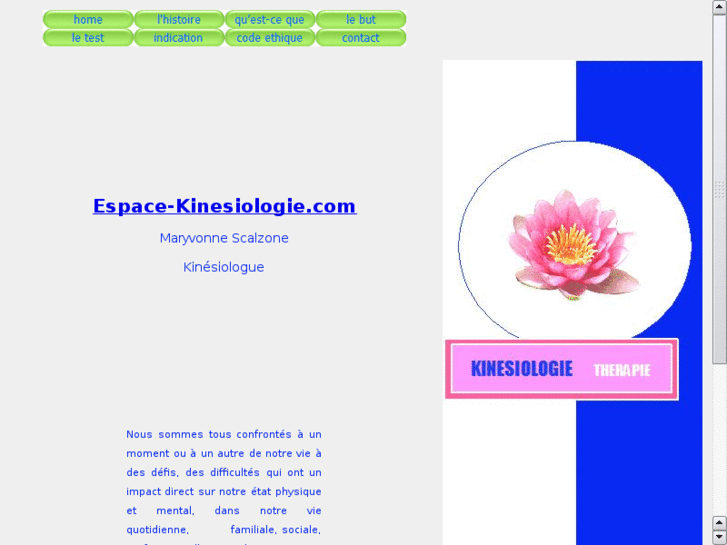 www.cabinet-kinesiologie.com