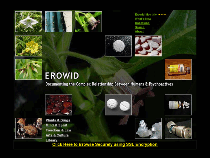 www.erowide.org