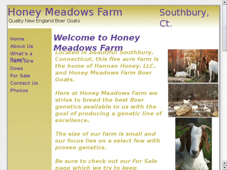 www.honeymeadowsfarm.com