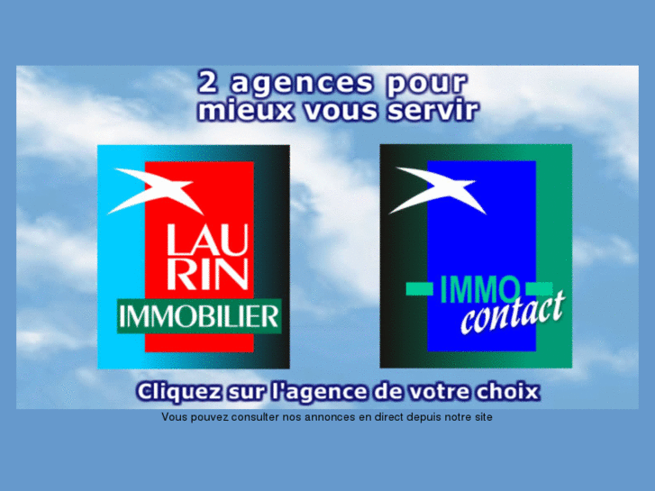 www.laurin-immobilier.com