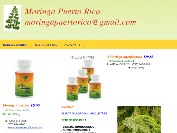 www.moringapuertorico.com