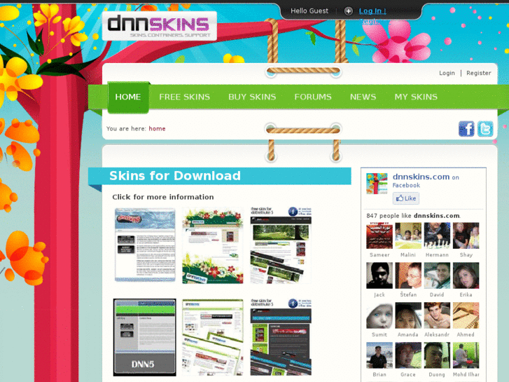 www.dnnskins.com