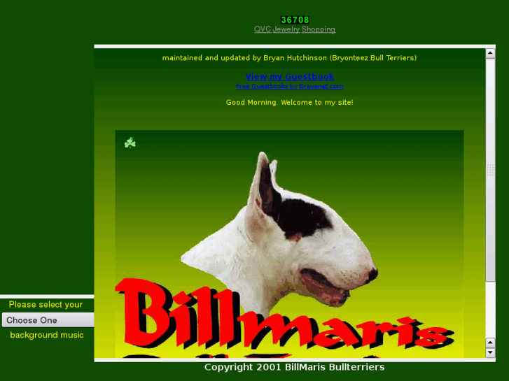 www.billmaris.com