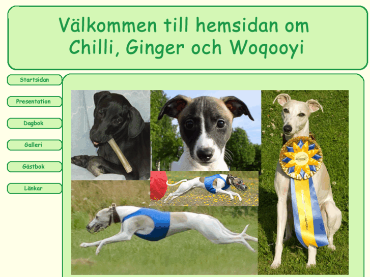 www.minwhippet.se