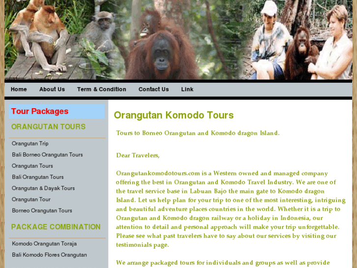 www.orangutankomodotours.com