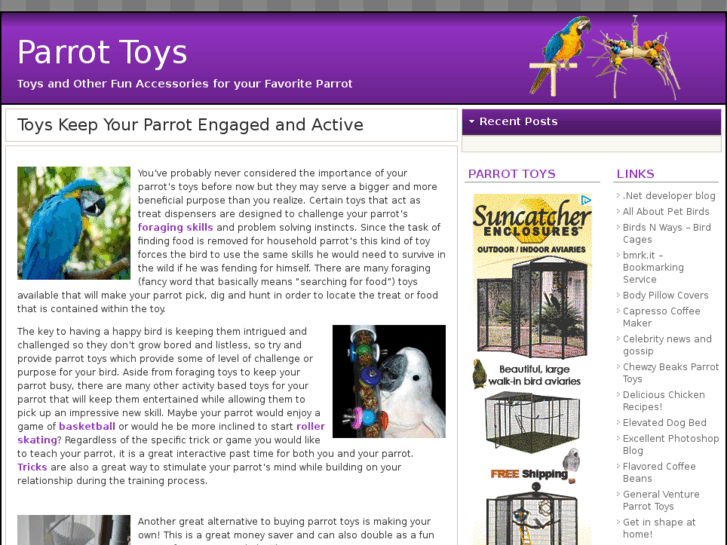 www.parrottoys.org