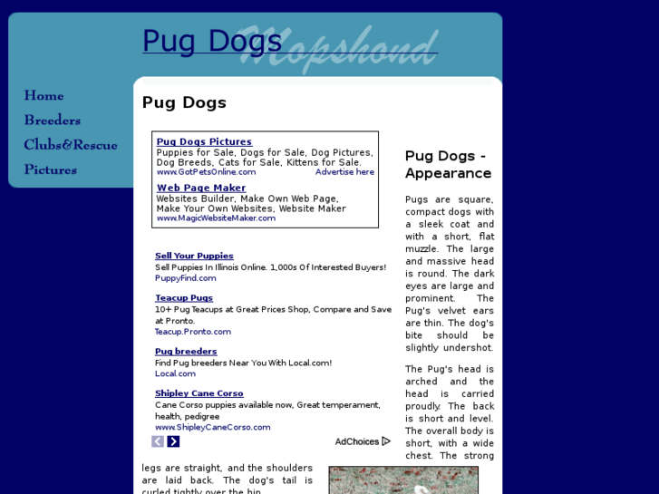 www.pug-dogs.com