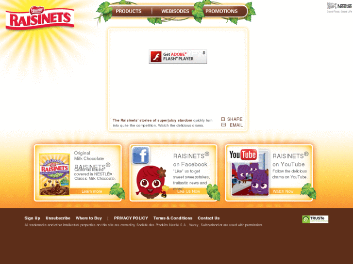 www.raisinets.com