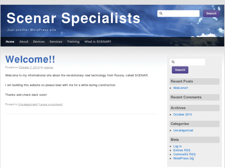 www.scenarspecialists.com