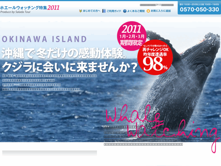 www.whalewatch.jp