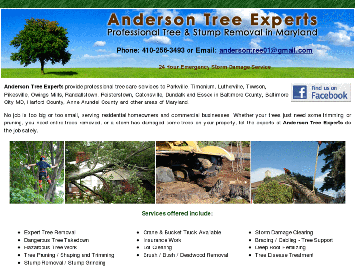 www.andersontreeexperts.com