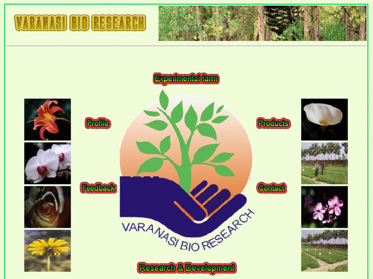 www.bioresearchindia.com