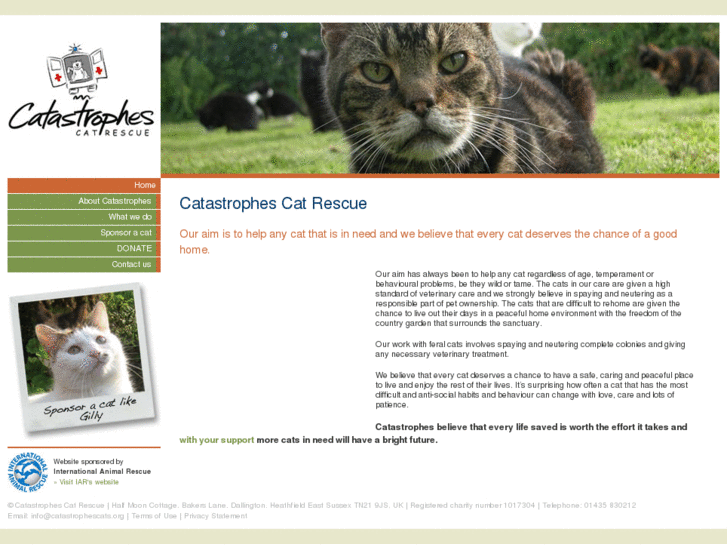 www.catastrophescats.org