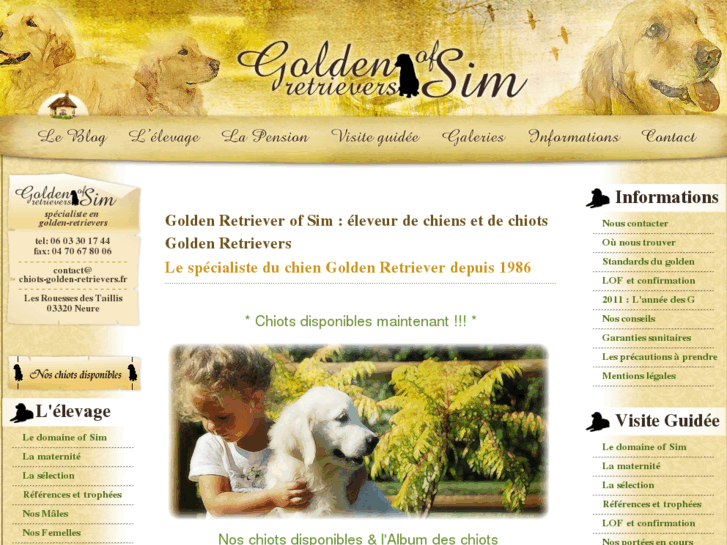 www.chiots-golden-retrievers.com