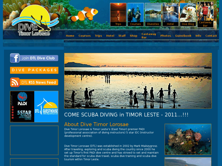 www.divetimor.com
