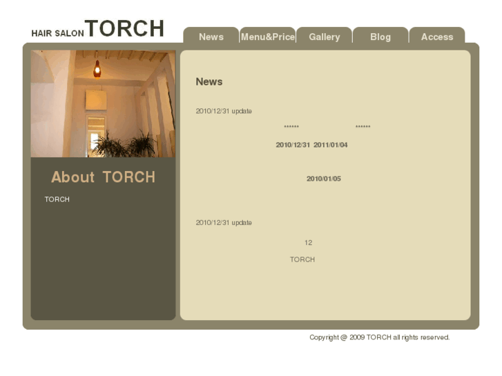 www.hair-torch.com