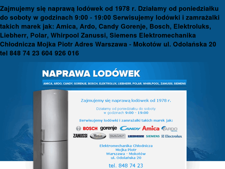 www.naprawa-lodowek.com