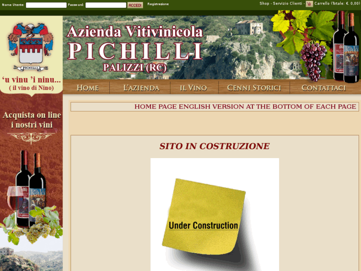 www.vinipichilli.com