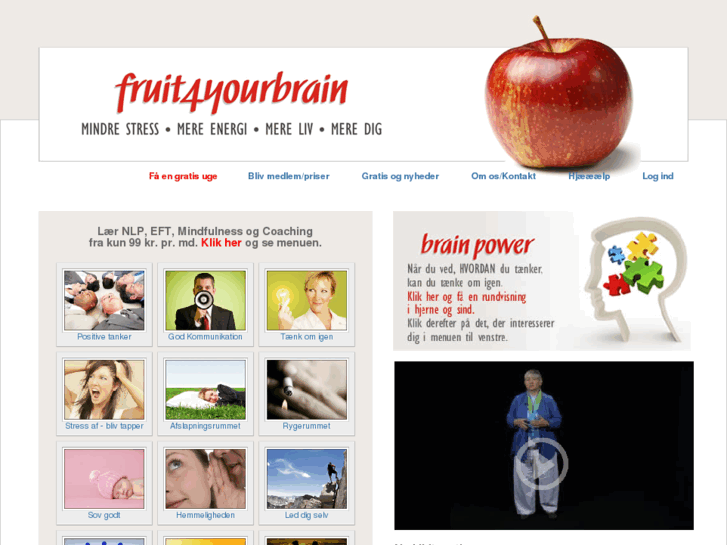 www.fruit4yourbrain.com