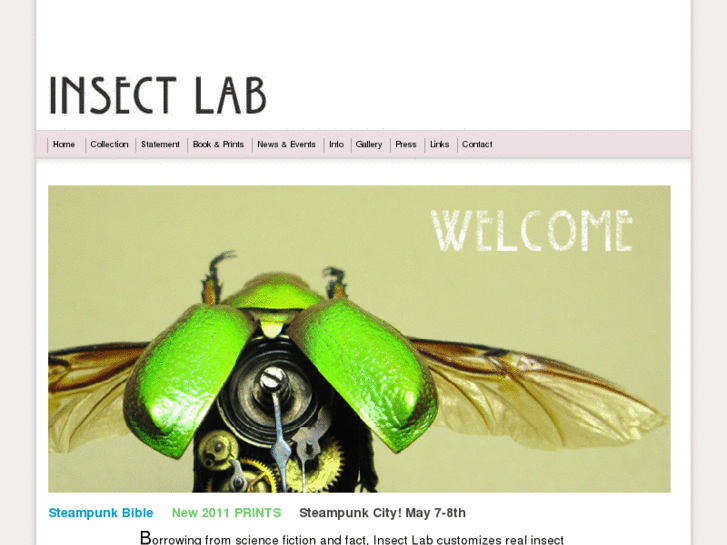 www.insectlabstudio.com