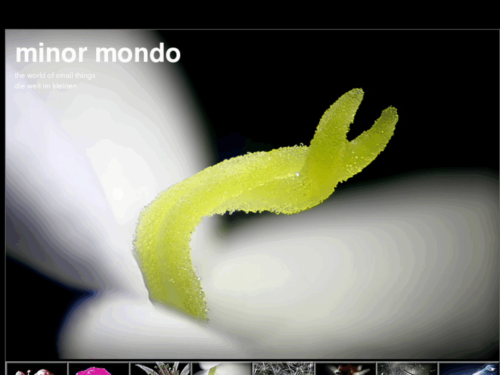 www.minor-mondo.com