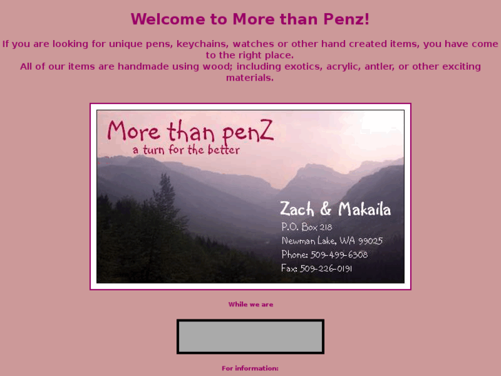 www.morethanpenz.com