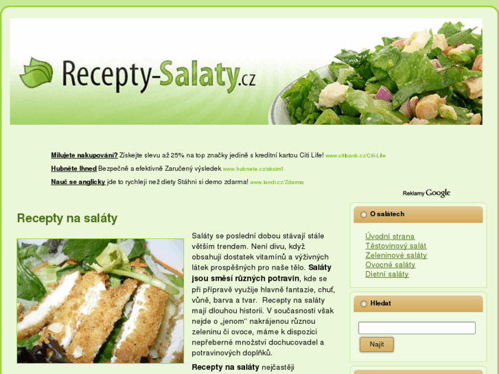 www.recepty-salaty.cz