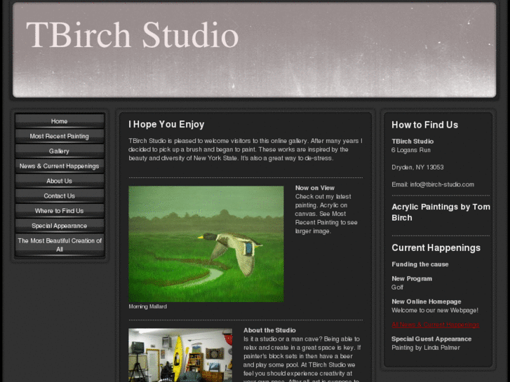 www.tbirch-studio.com