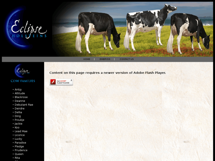 www.eclipseholsteins.com