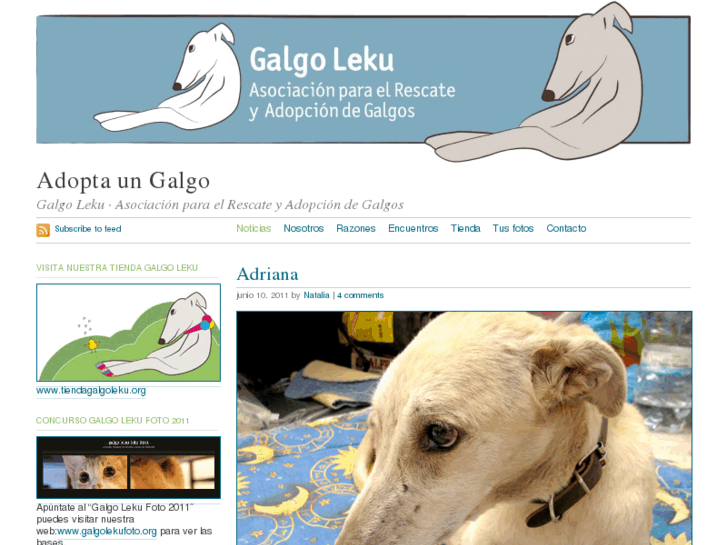 www.galgoleku.org