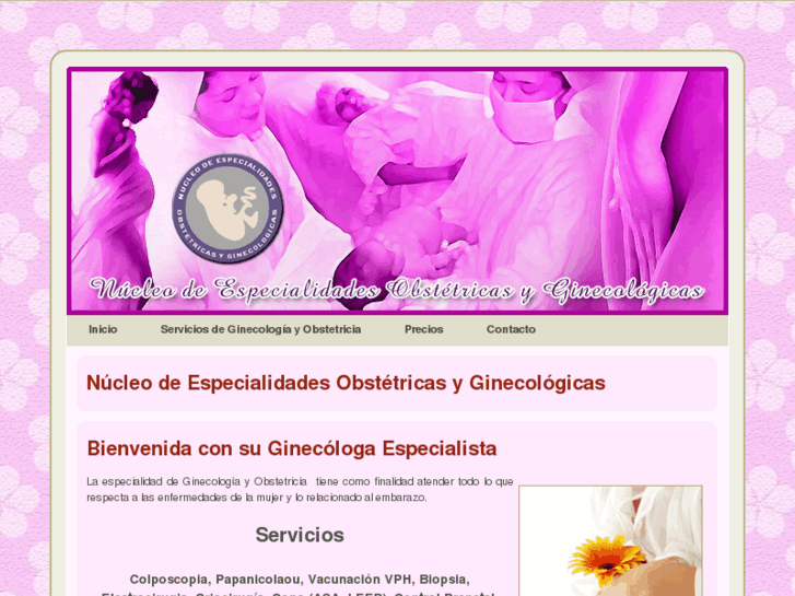 www.ginecologa-texcoco.com