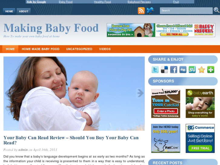 www.makingbabyfood.net