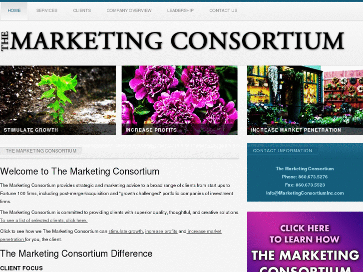 www.marketingconsortiuminc.com