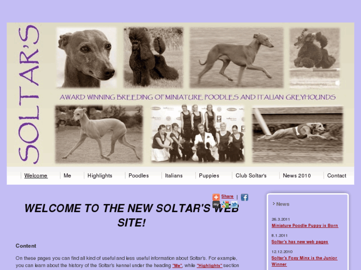 www.soltars.com