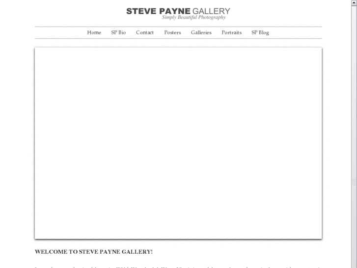 www.stevepaynegallery.com