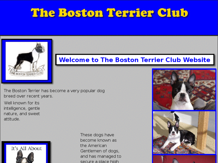 www.thebostonterrierclub.com