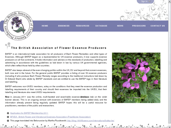 www.bafep.com