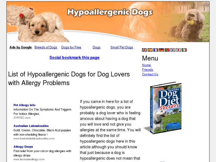 www.hypoallergenicdogs.net