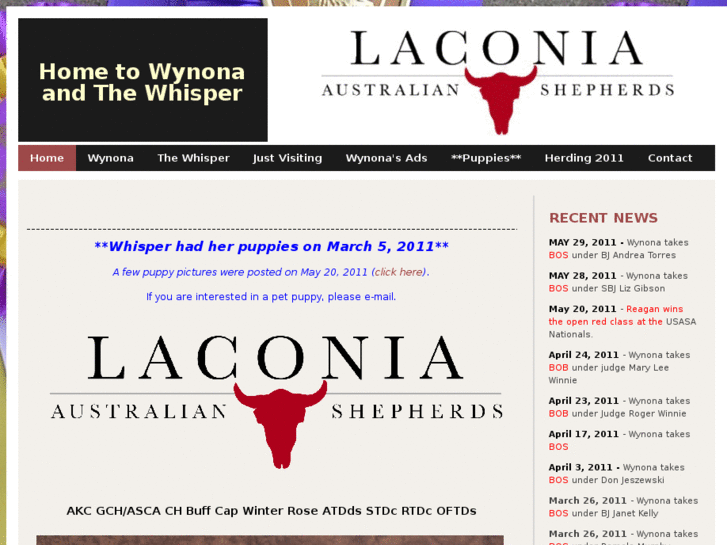 www.laconiaaussies.com