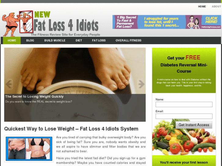 www.newfatloss4idiots.com