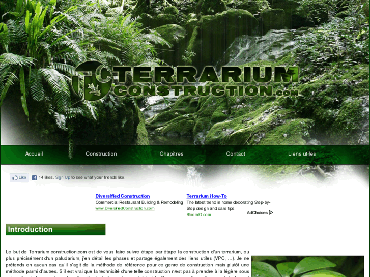 www.terrarium-construction.com