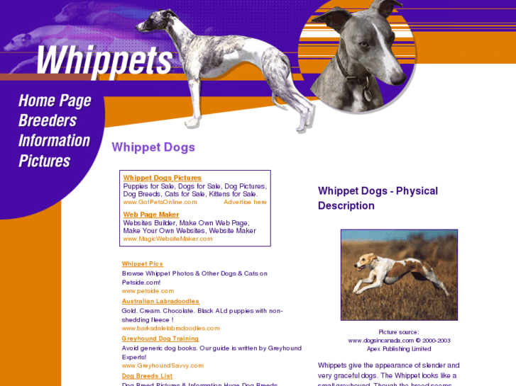 www.whippet-dogs.com