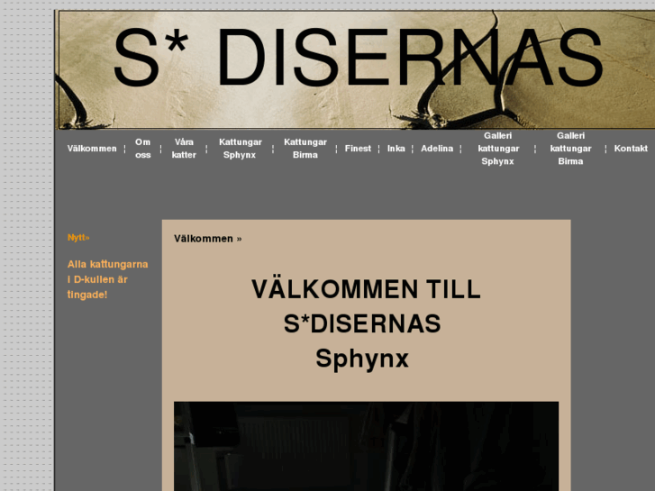 www.disernas.com