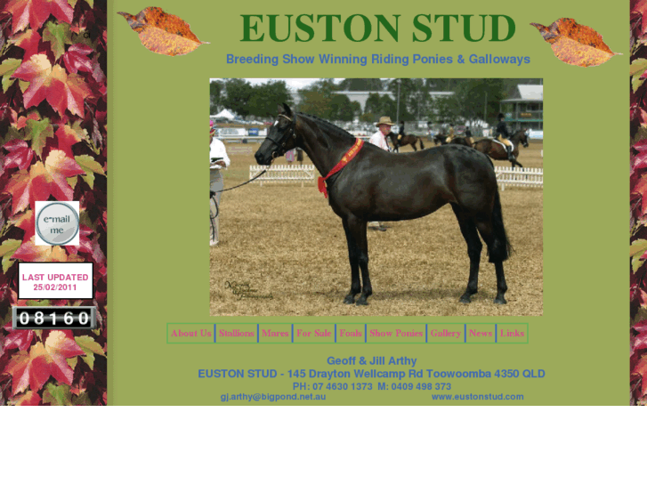 www.eustonstud.com