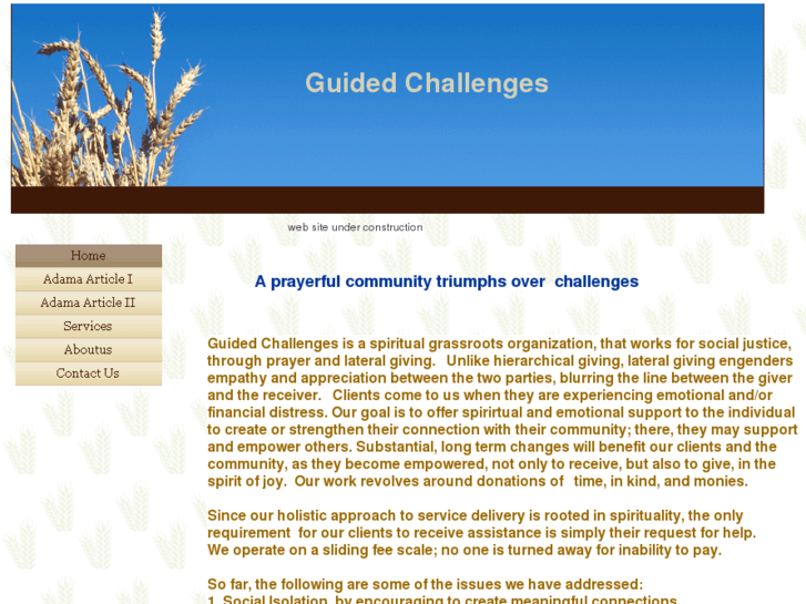 www.guidedchallenges.org