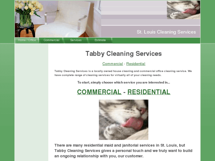 www.tabbycleaningservices.com