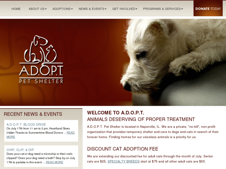 www.adoptpetshelter.com